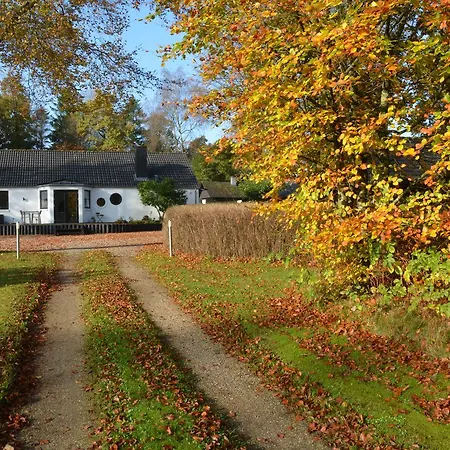 Bed & Breakfast Lillelund *
